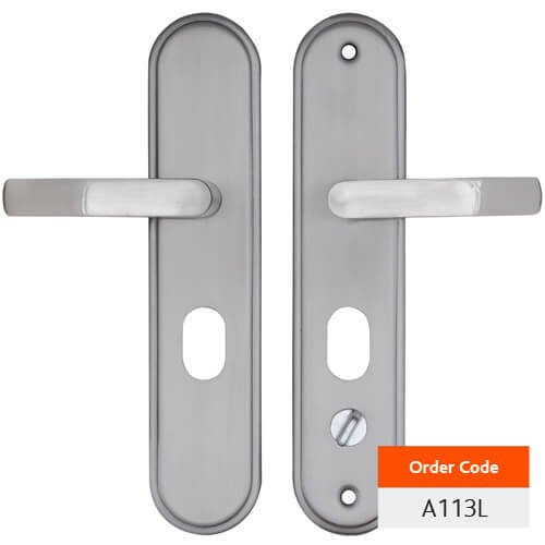 A113L_1-1 A113L_1-1