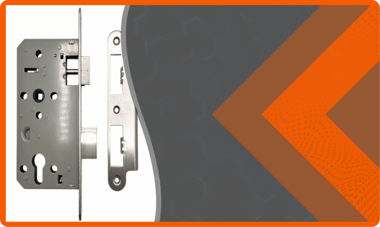 IN-FOCUS: Oval Cylinders