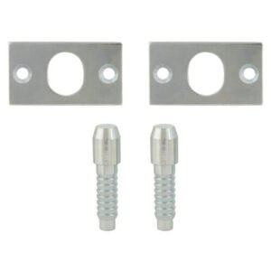 TSS Security Hinge Bolts