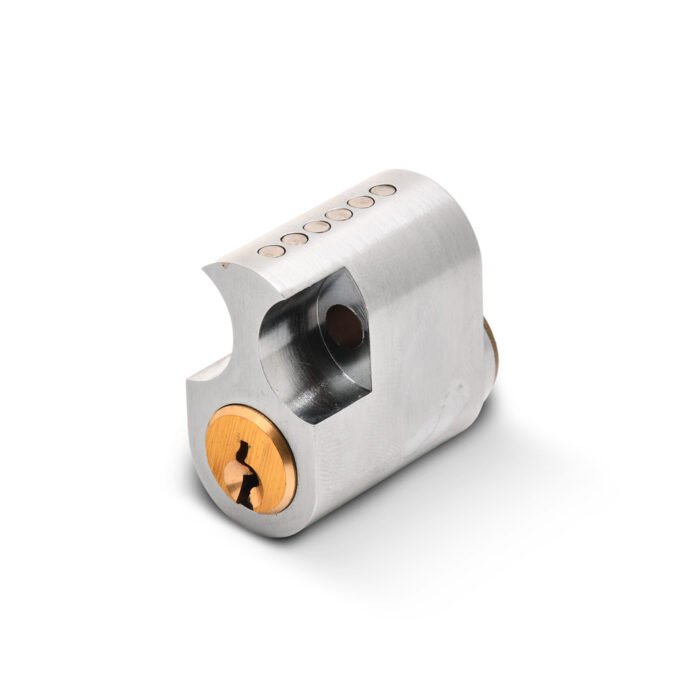 V-SCANINT_1_1 V-SCANINT_1_1